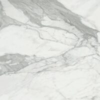 Invictus Natural 120*120