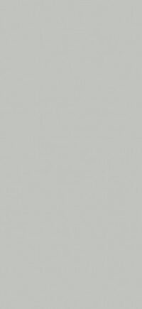 Silver Natural 120*260