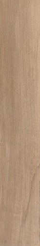 Плитка Antique Clay Fondi Nat.rettificat (gl) 20х120 см