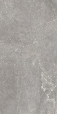 Плитка Concept Gray 60х120 см (9 мм)