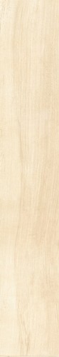 Плитка Antique Ivory Fondi Nat.rettificat 20х120 см
