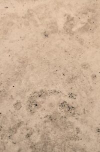 Плитка Pietra Di Rapolano 40х60 см