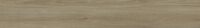 6601 Siena 20,5*147,5